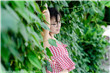 军少花式宠妻