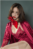 宠物小精灵ag190